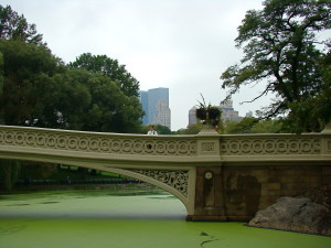 Central park