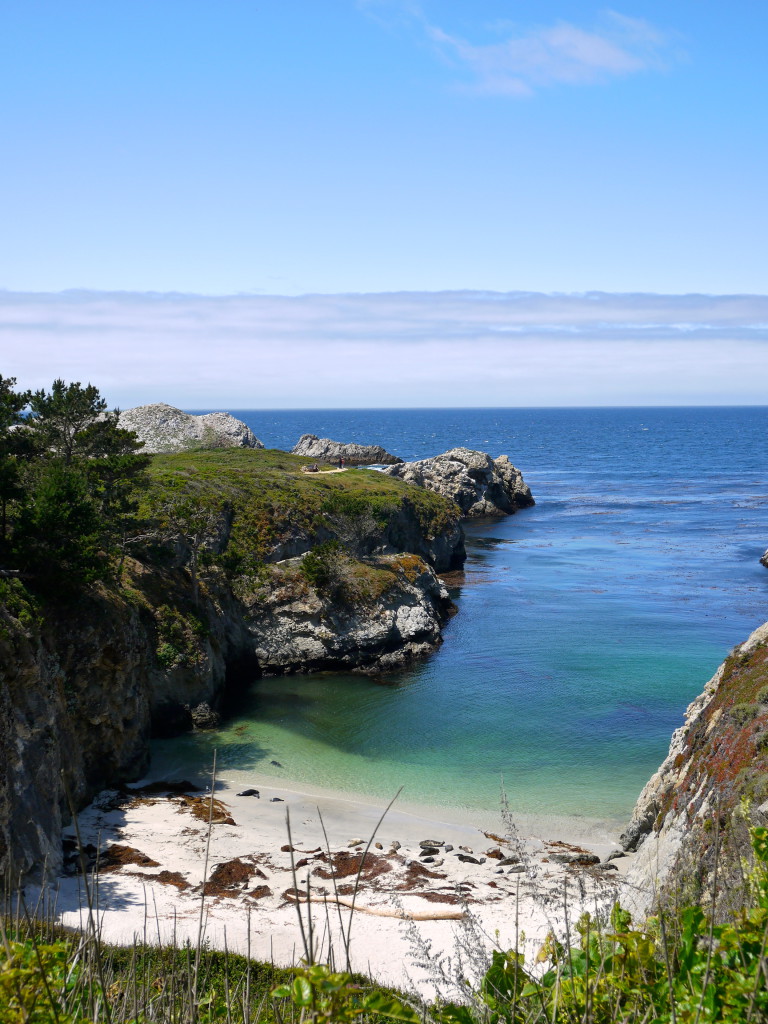 Point Lobos