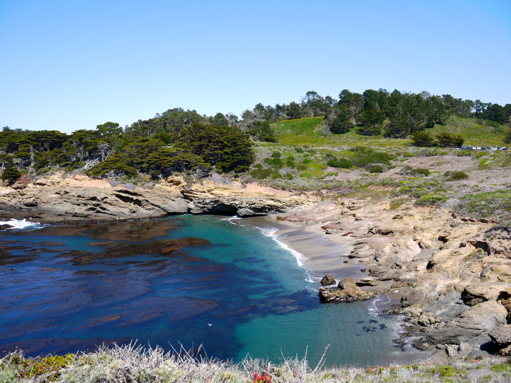 Point Lobos