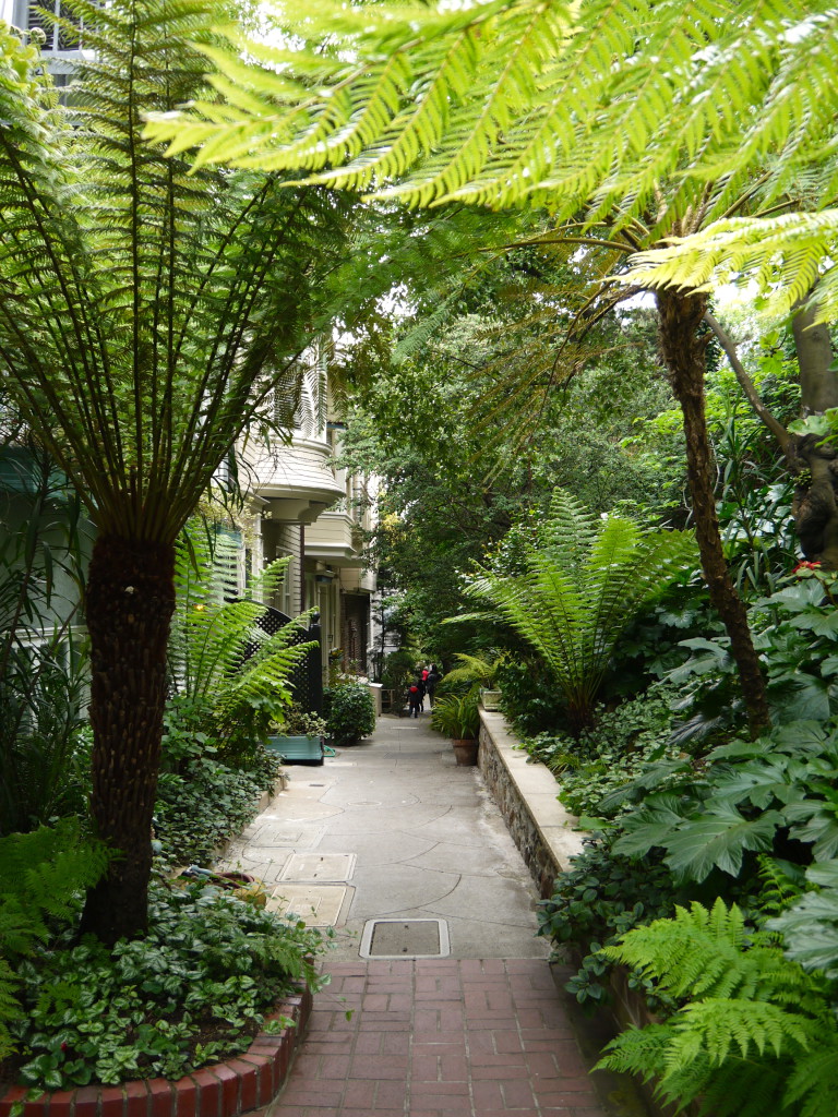 San Francisco, Macondray lane