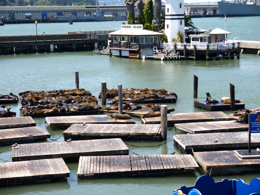 San Francisco, Pier 39