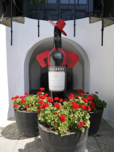 Jerez de la Frontera - Tio pepe