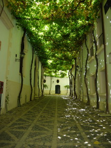 Jerez de la Frontera - Tio pepe