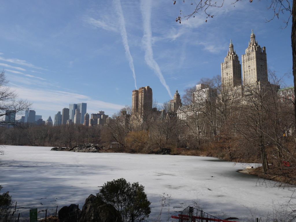 Central park, le lac gelé et les immeubles de standing au fond.