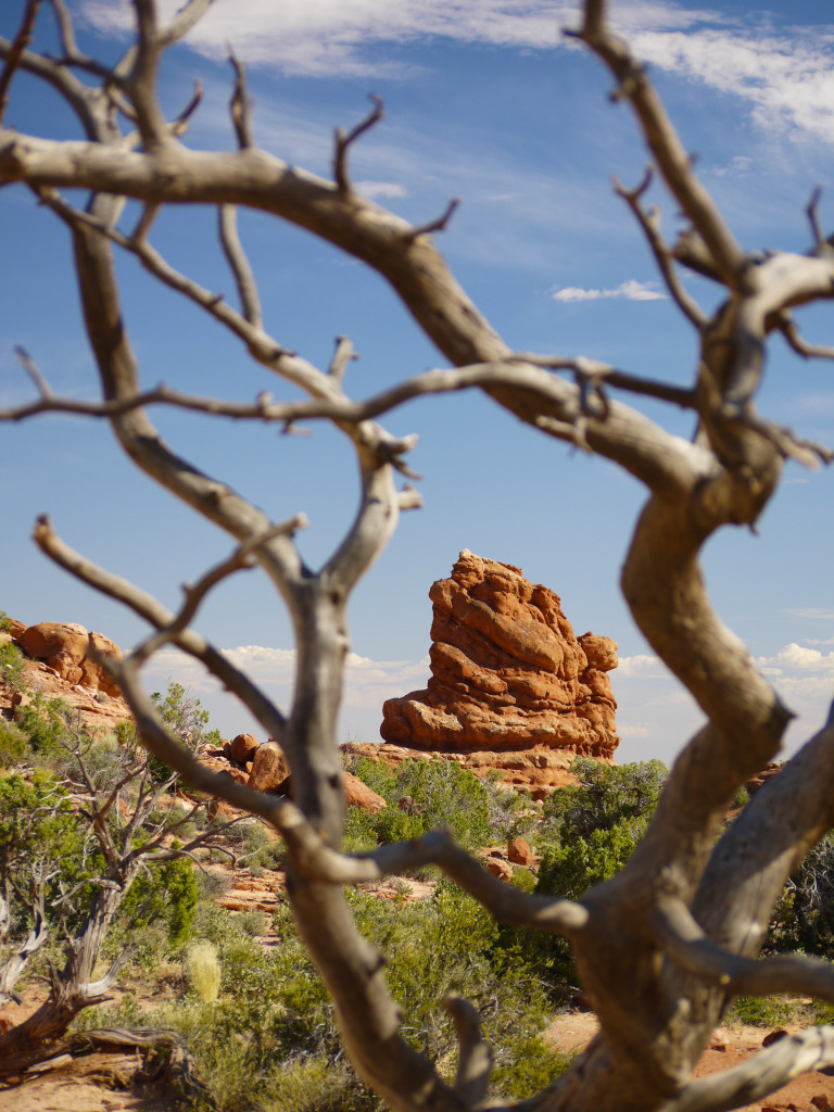 Arches NP, balanced rock