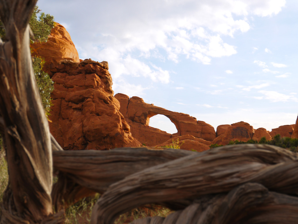 Arches National Park