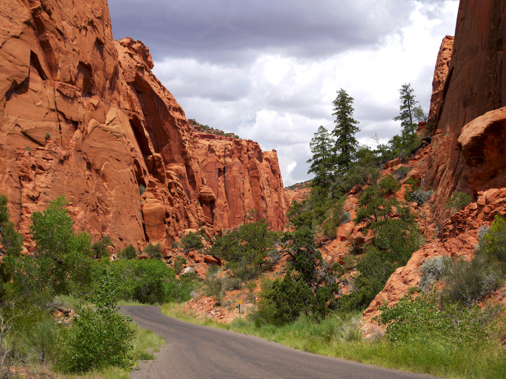Burr Trail Road, Utah
