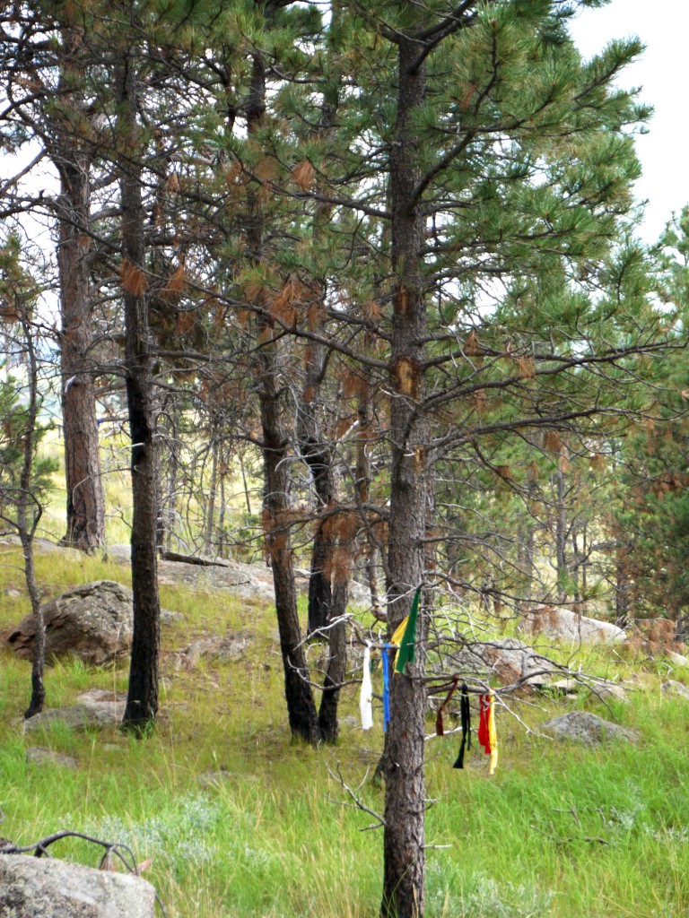 Devil's Tower, Wyoming