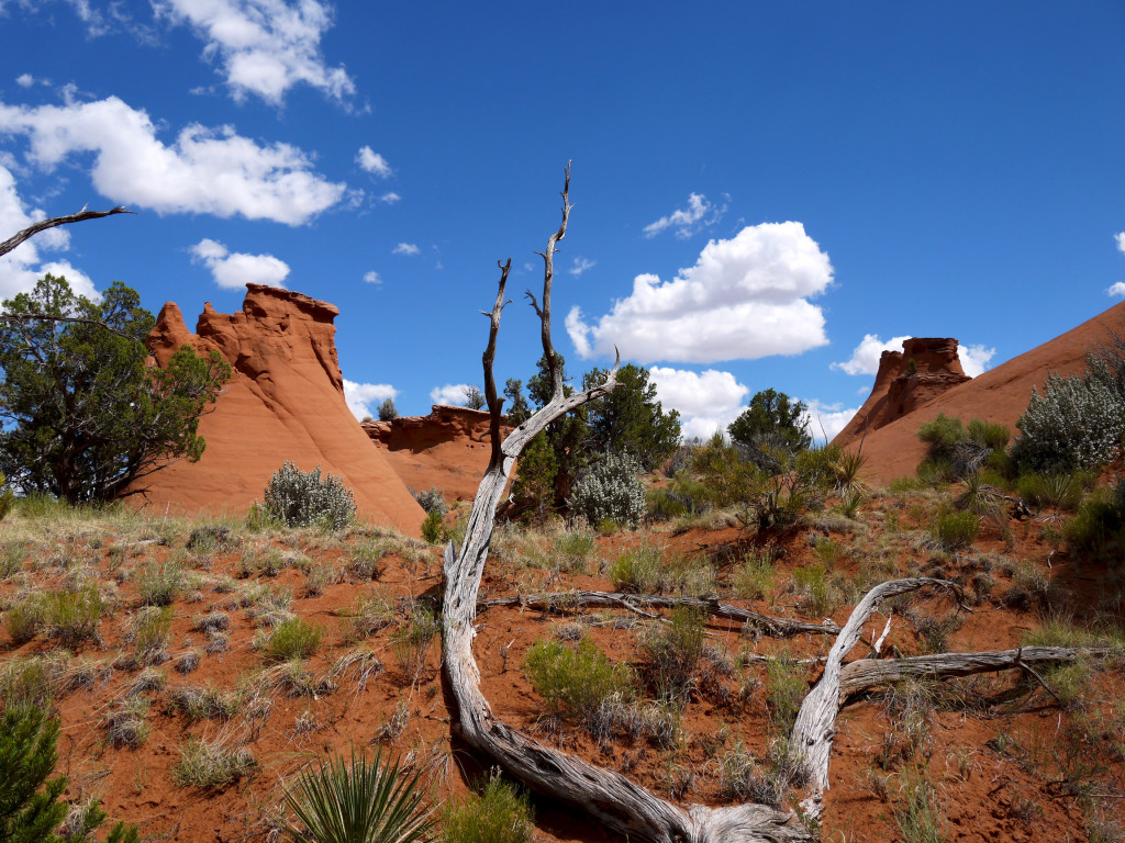 Kodachrome Basin state park, Utah