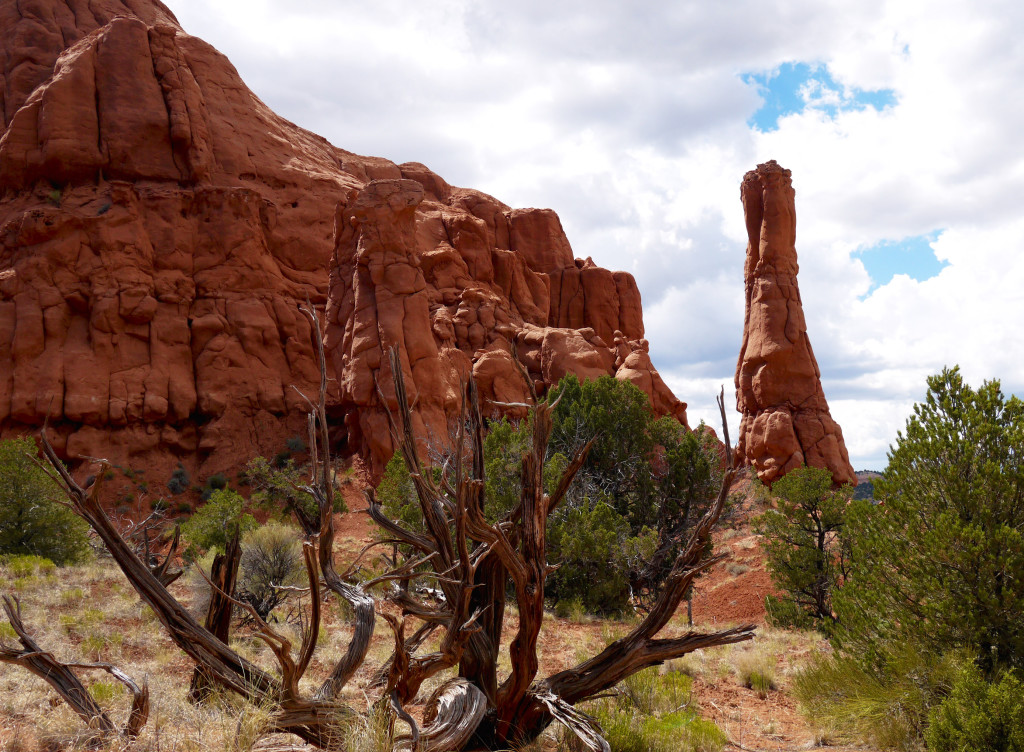 Kodachrome Basin state park, Utah