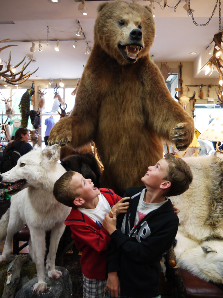 Jackson Hole, Wyoming