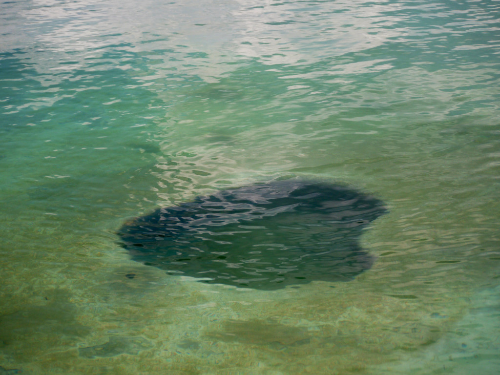Yellowstone, Wyoming