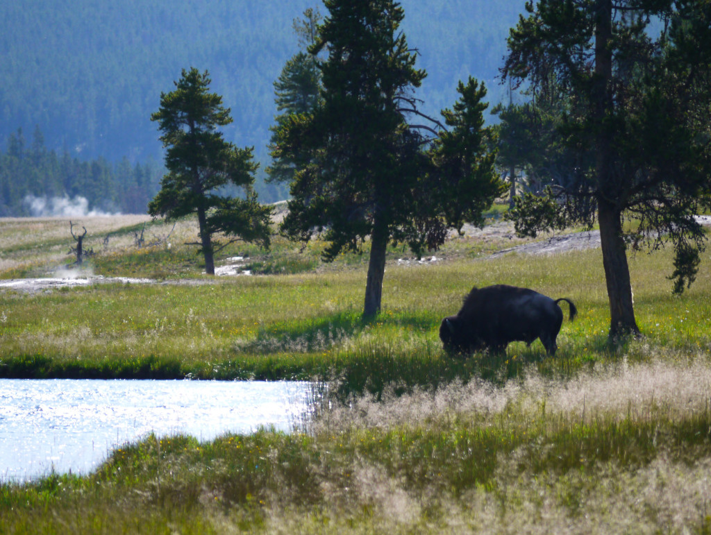 Yellowstone, Wyoming