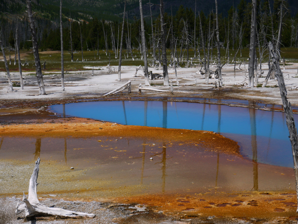 Yellowstone, Wyoming