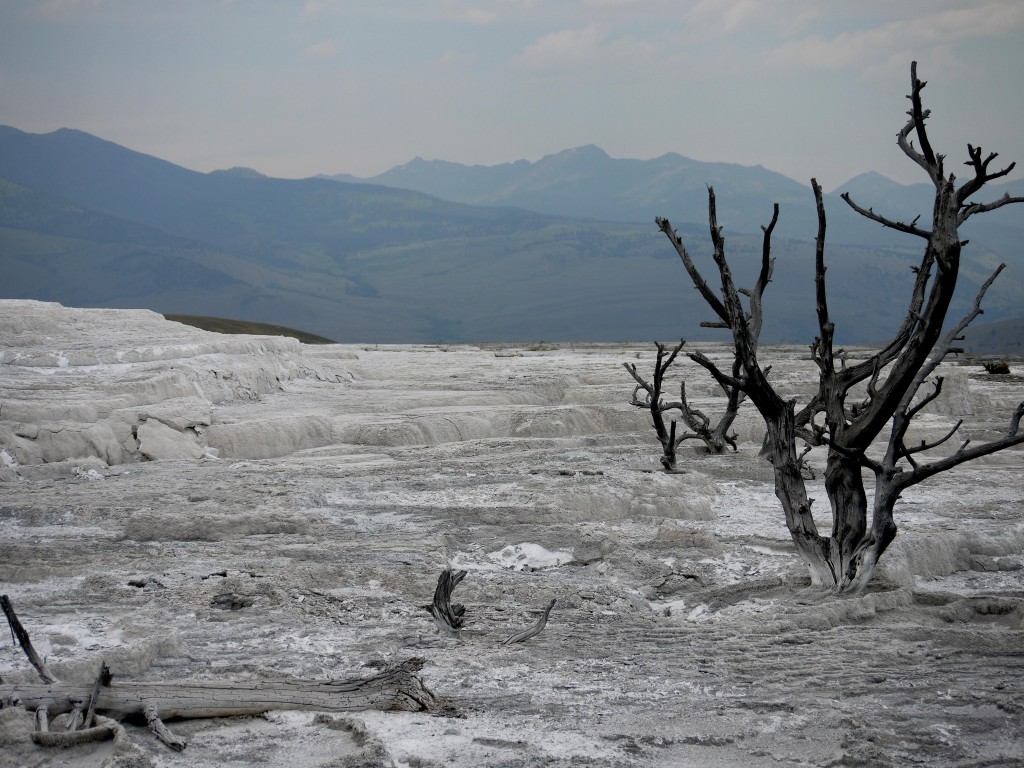 Yellowstone, Wyoming
