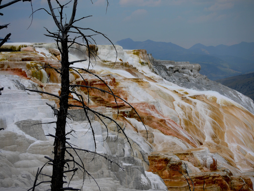 Yellowstone, Wyoming
