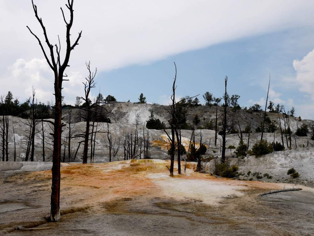 Yellowstone, Wyoming