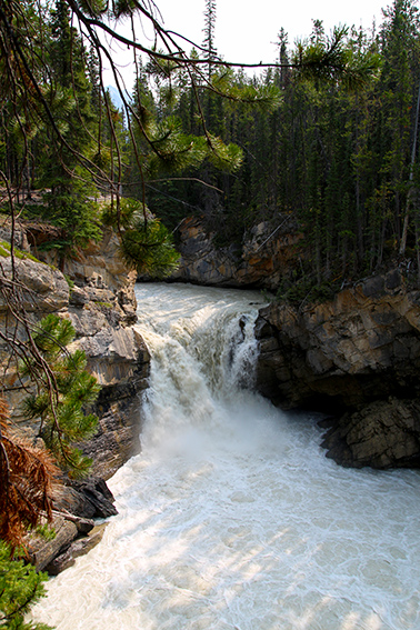 Sunwapta falls