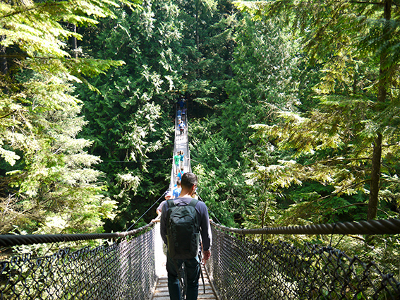 Lynn canyon, Vancouver