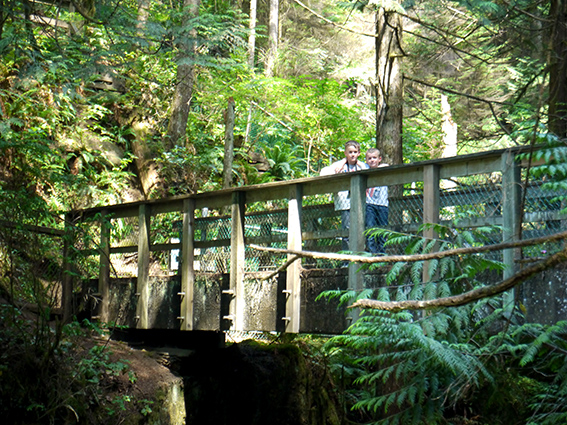 Lynn canyon, Vancouver