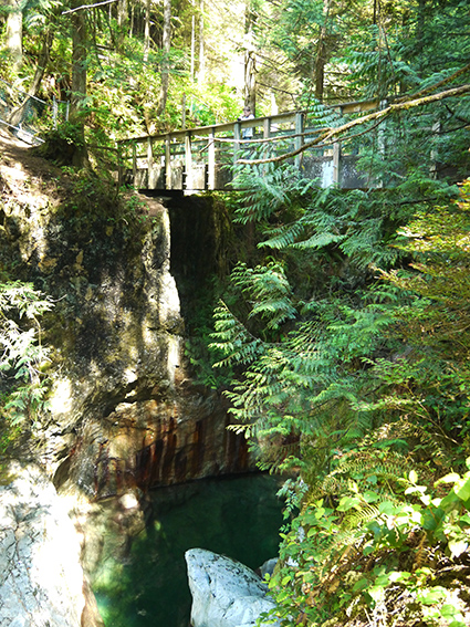 Lynn canyon, Vancouver
