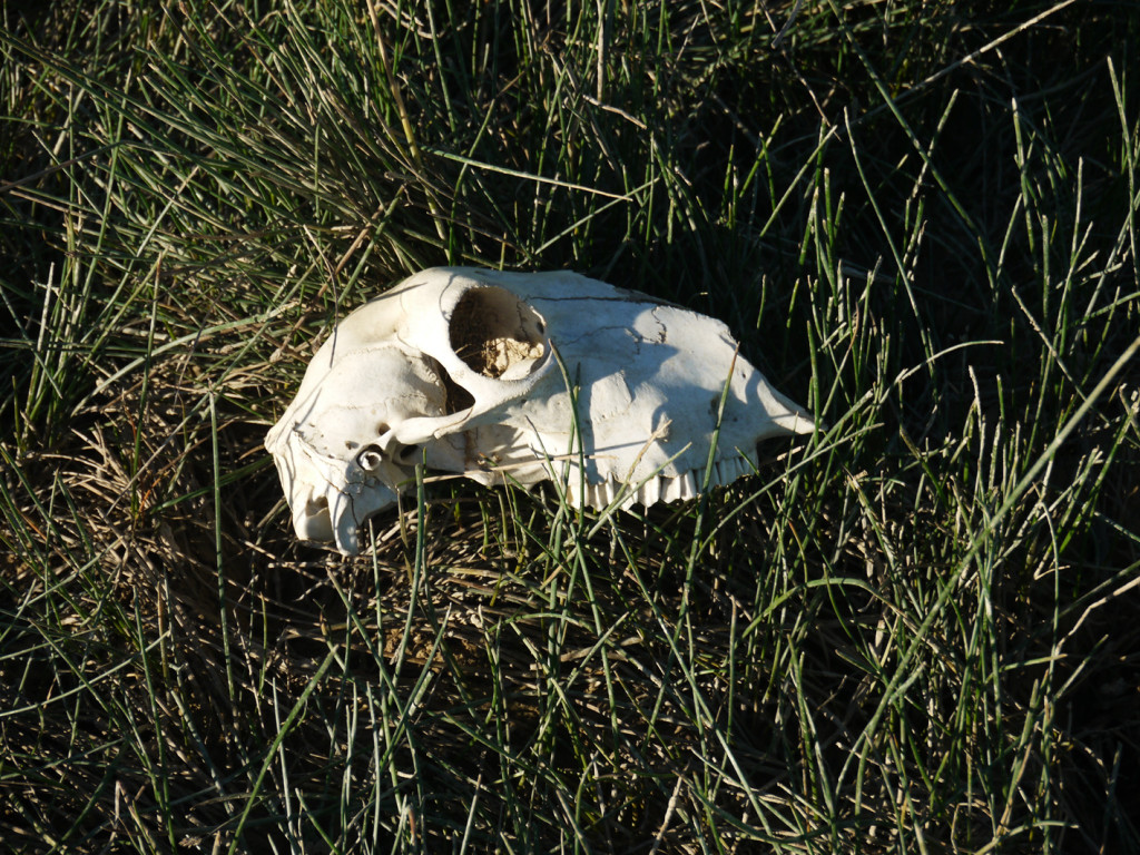 Bardenas Reales, Navarre, Espagne