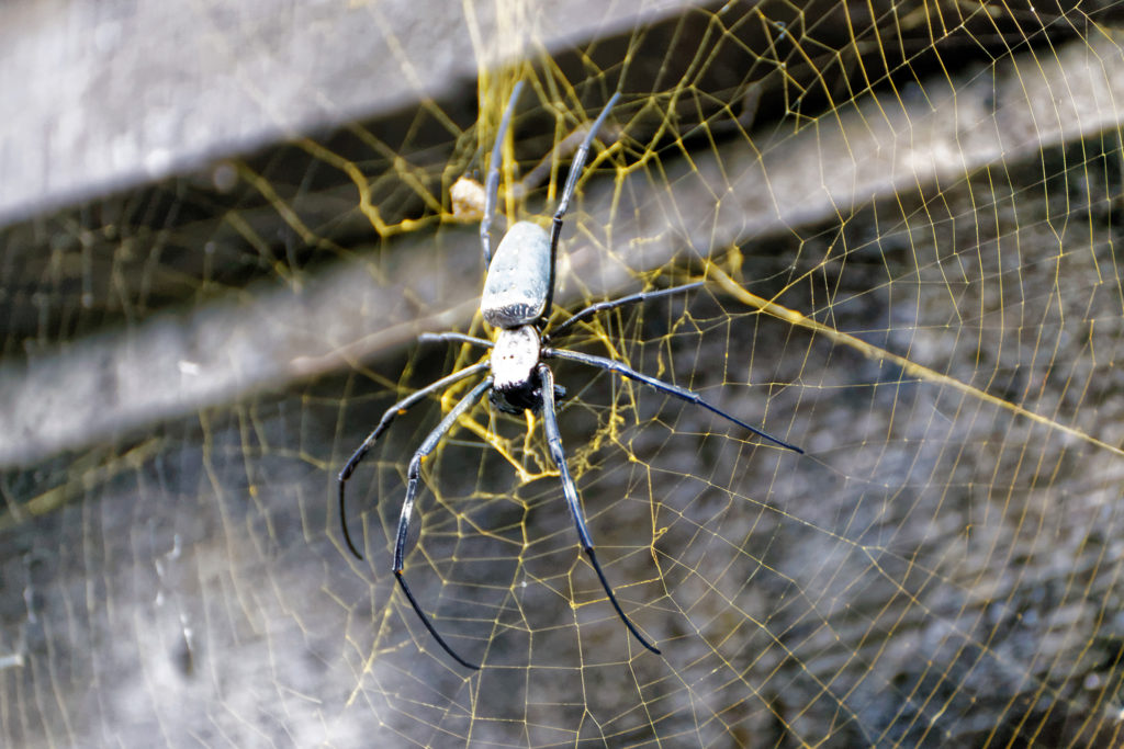 IMG_4831_DxOstandard