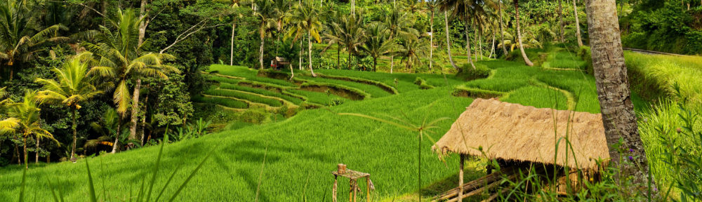 Les voyages de la famille Morin