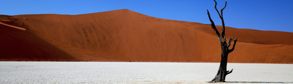 Les voyages de la famille Morin